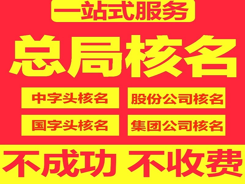 集团公司核名