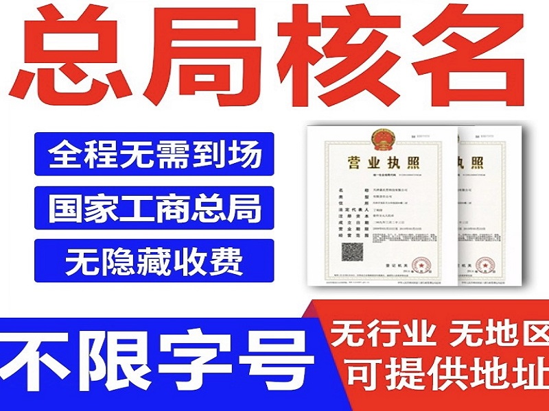 股份公司核名